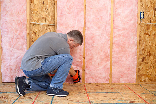 Best Insulation Installation Services in South San Francisco, CA